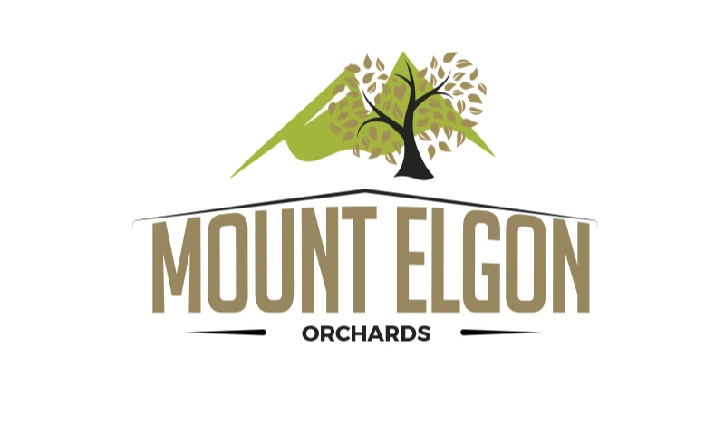 Mount Elgon