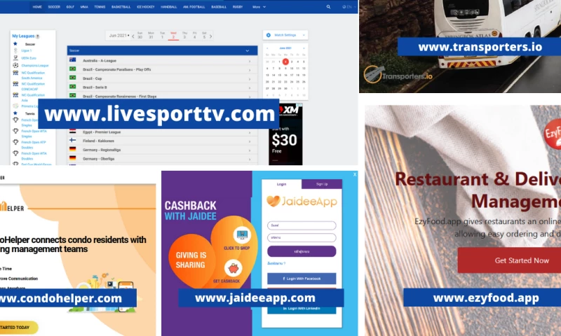 Lion Digital Marketing - Applications sample portfolio