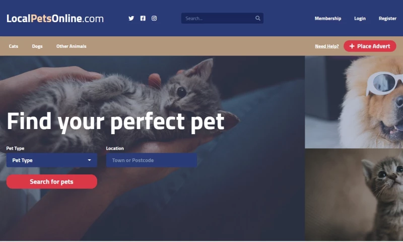 Antalogic - Online Pet Store, MVP, Laravel