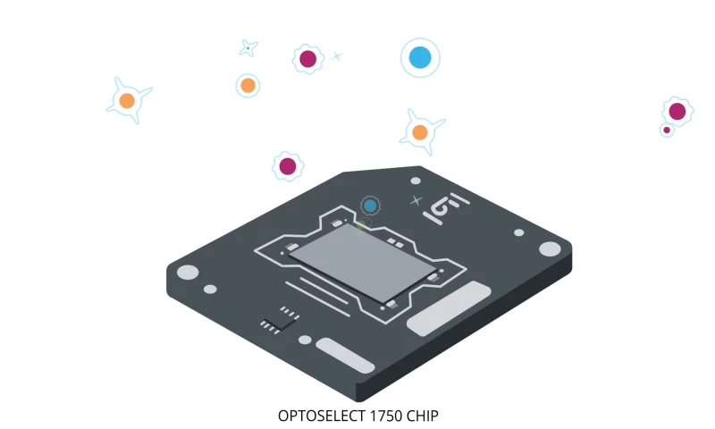 Studio Fets - Berkeley Lights Story