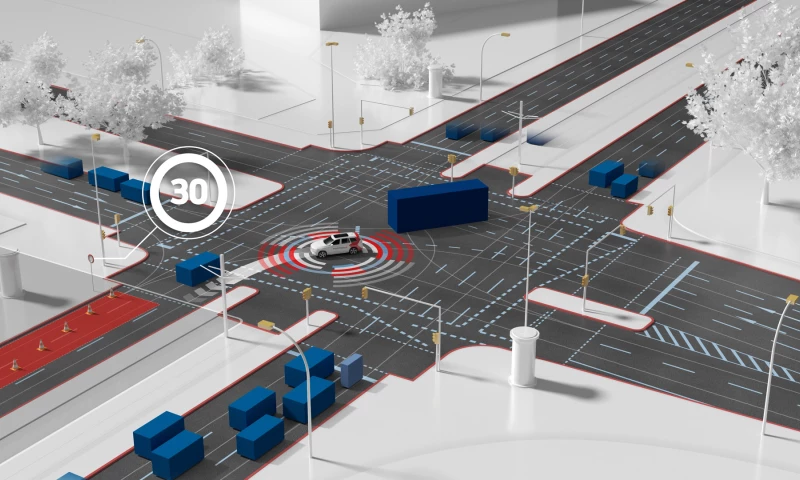 TomTom Trillian In The Wild