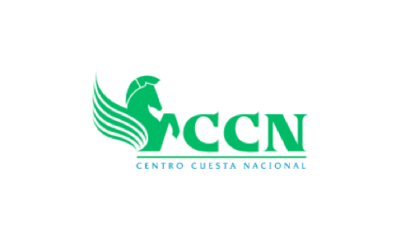 CCN - Enterprise eCommerce Website for Retail Giant in Dominican Republic