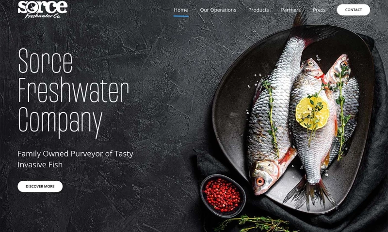 Studio Fox Design - Sorce Freshwater