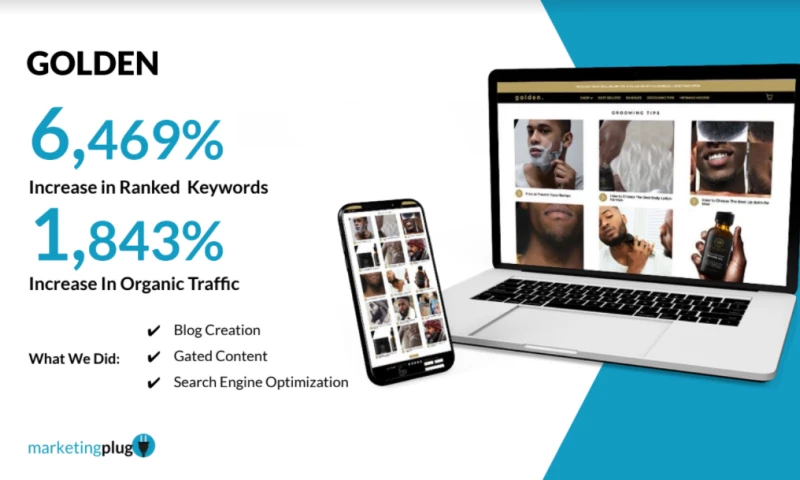 The Marketing Plug - Search Engine Optimization