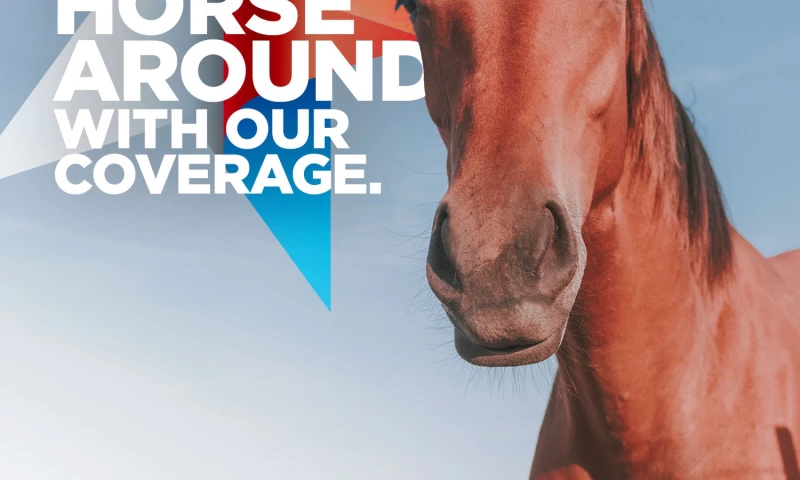 Cedarsphere - Texas Farm Bureau Proposal