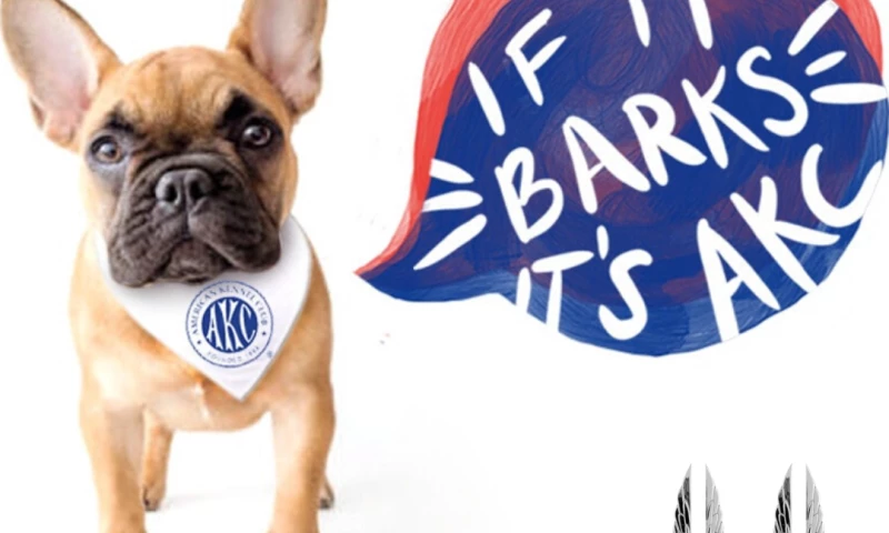 Media Cause - If It Barks, It's AKC