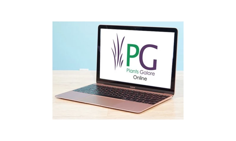 Techno Infonet - Plants Galore