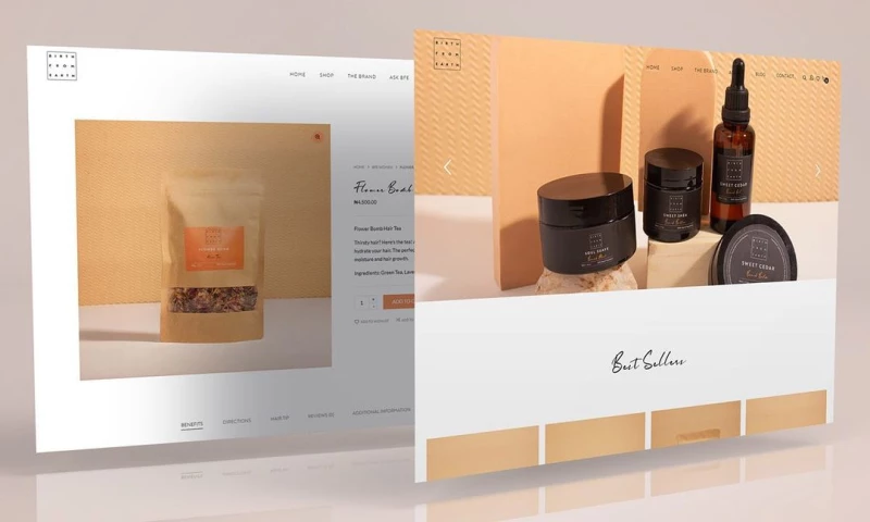 TMA Brand Consulting - Birth From Earth