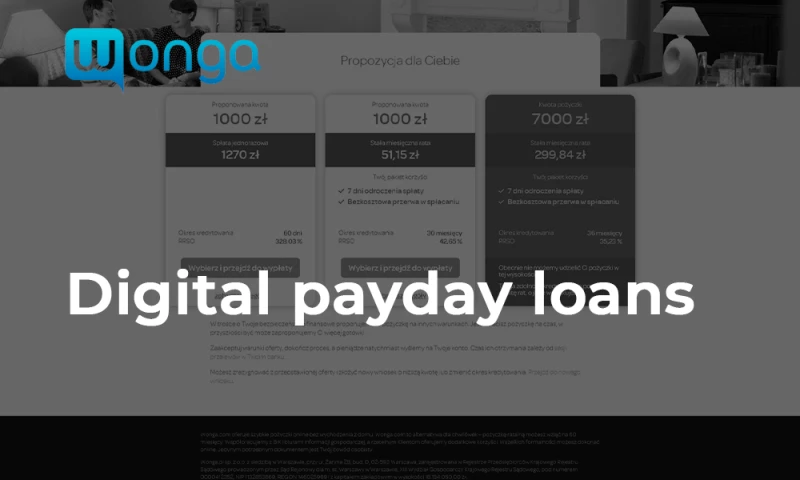 Polytech Software - Digital payday loans