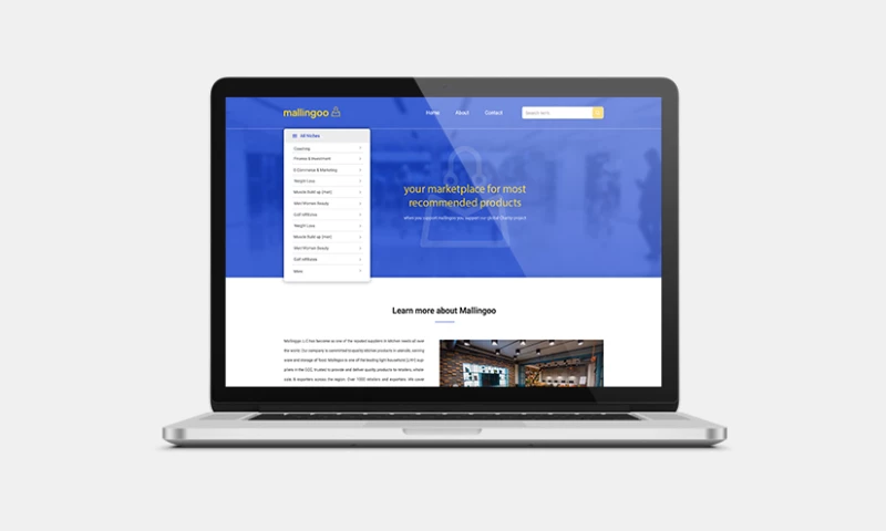 Graphiters - Website development Services for Affiliate Marketing business