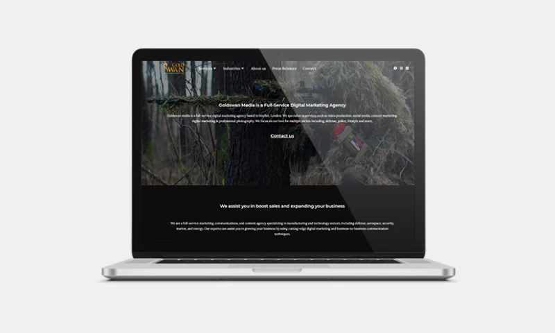 Graphiters - Website Development services for Digital Marketing Agency