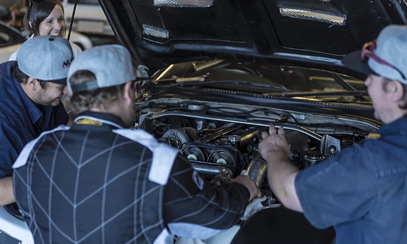 Nulon: Born This Way