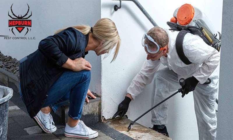 Kmarks - Hepburn Pest Control