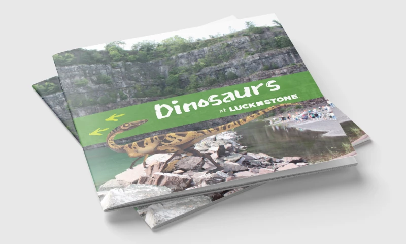 Luck Stone Dinosaur Brochure