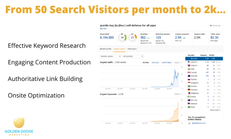 Golden Goose Marketing - Increase Website Traffic