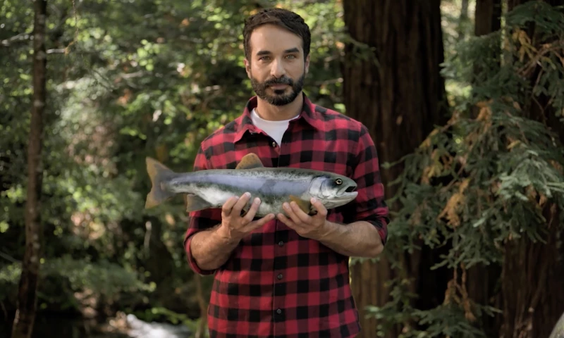 BX Films - Toyota Commercial