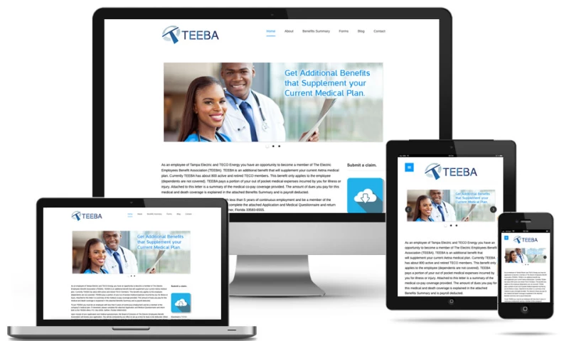 Nick France Design - TEEBA website design