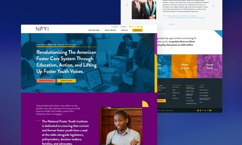 Brave Factor - National Foster Youth Organization