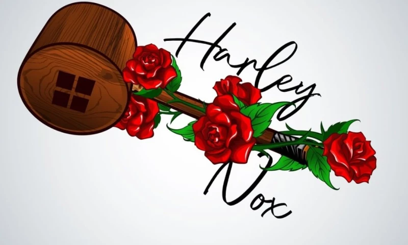 Digious Solutions - Art & Illustrations