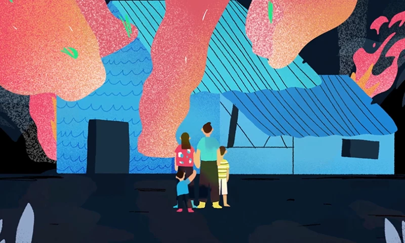 Fenix Media - Heifer