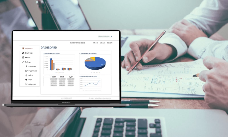 HeadChannel - From spreadsheets to HR system for an international organisation