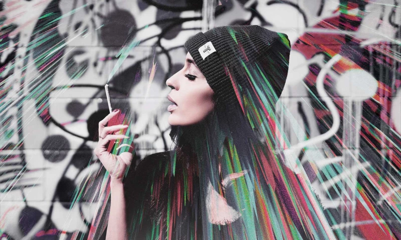 Terrapin Care Station