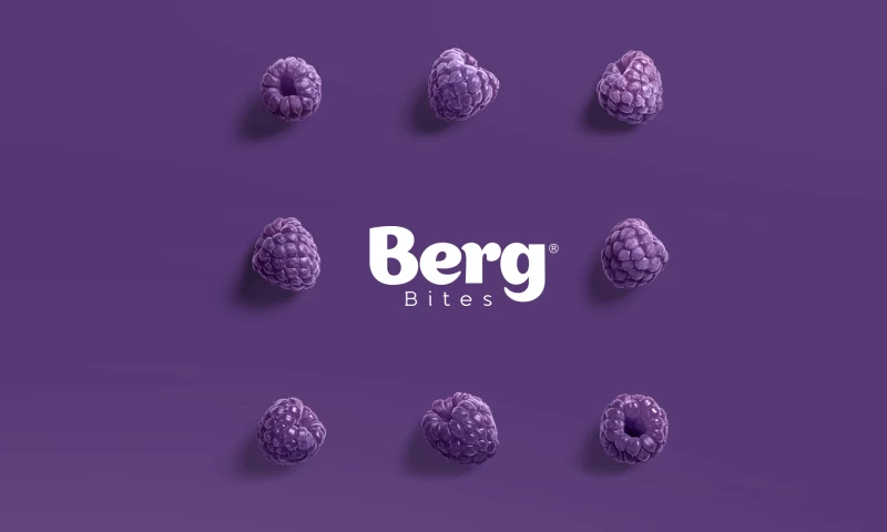 Berg Bites