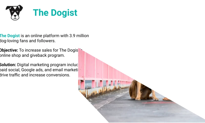 SLT Consulting - The Dogist