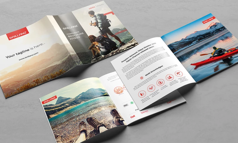Brillianz - Brochure Design
