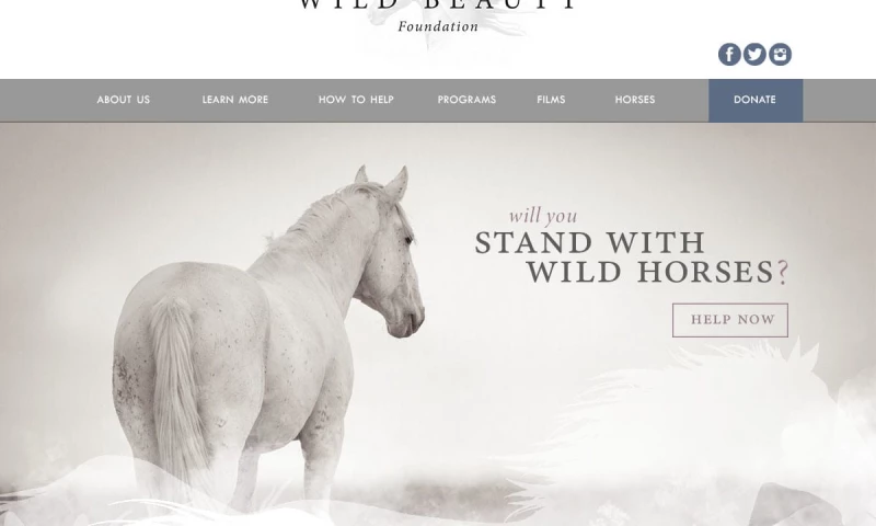 Indelible Inc - Wild Beauty Foundation