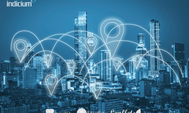 Indicium - Complete Overview of Brazilian Companies for a Consulting Group