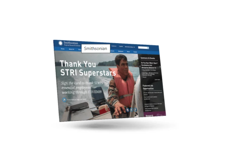 Designing A Clear And Informative Website