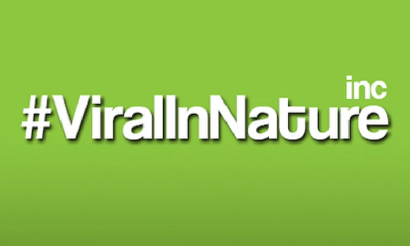 Viral In Nature - Viral In Nature
