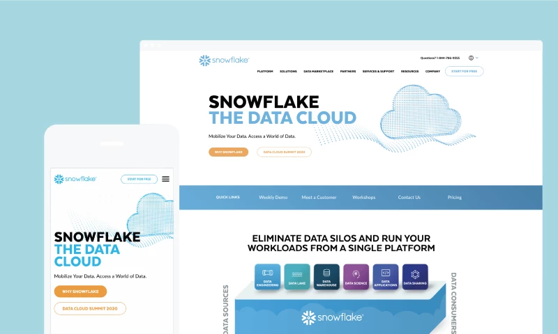 Sköna - Building a Brave Brand – The Snowflake Story