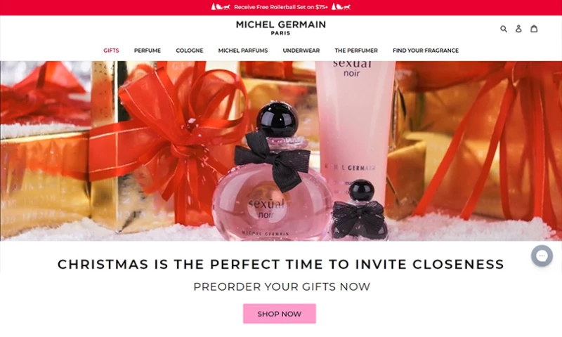 Canesta - Michel Germain