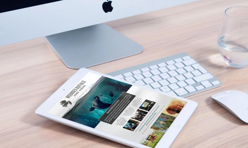 Clifton Web Design - Wounded Buffalo