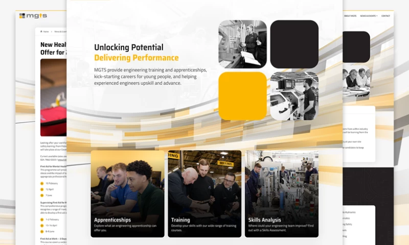 Edge of the Web - MGTS website design