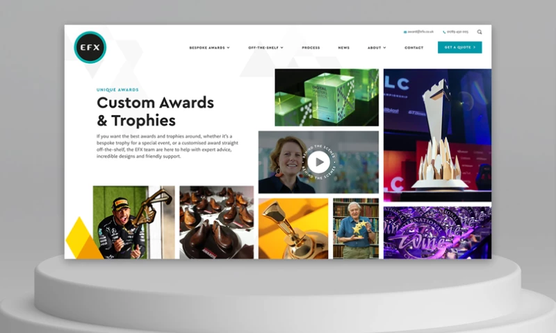 Edge of the Web - EFX website design