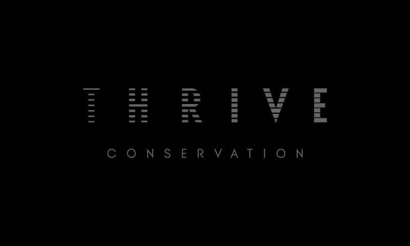 Superfried - THRIVE Conservation