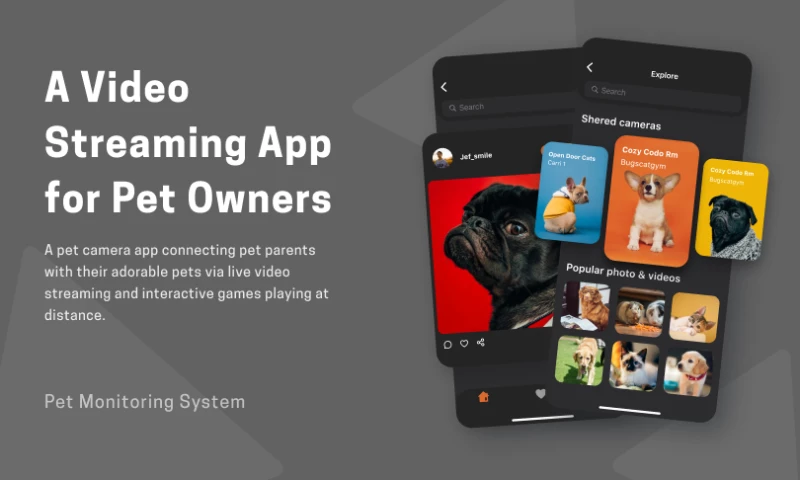 TopDevs - Pet Monitoring System - Video Streaming App For Pet Owners