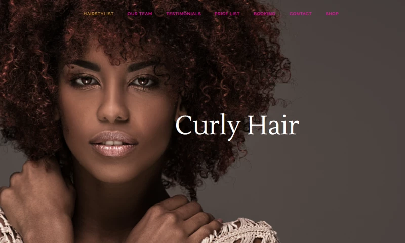 E-Zen-i - Premium Hair Salon Websites