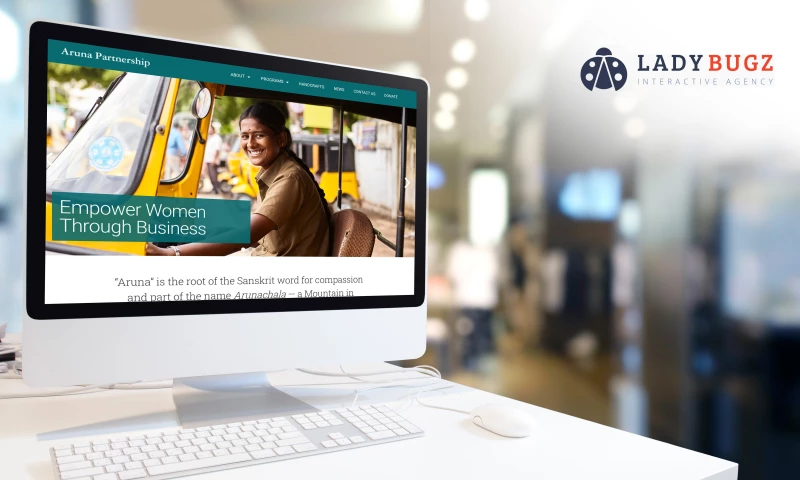 Ladybugz Interactive - Website Redesign for International Non-Profit