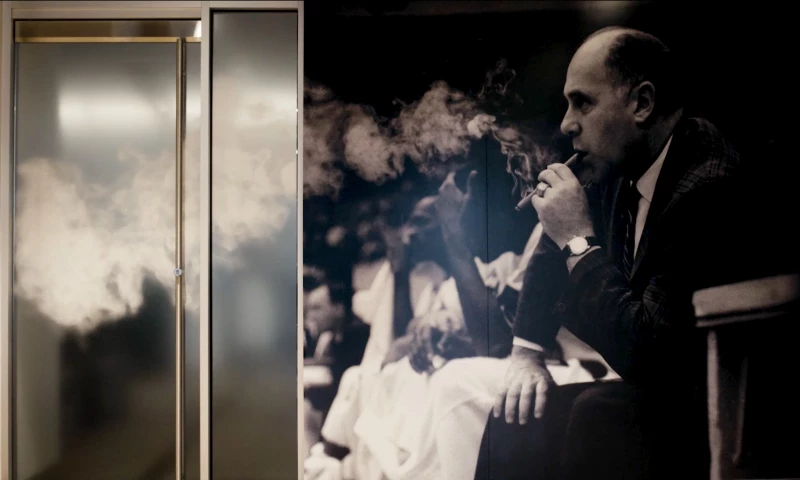 BrandGenes - The Auerbach Center