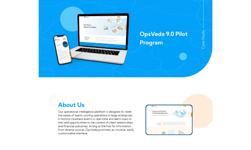 Website & Marketing Revamp for Intelligence Agency