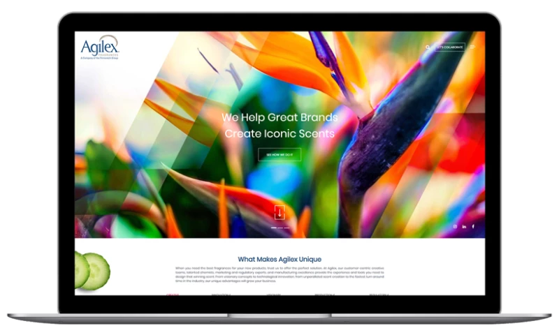 Ziffity - Agilex Fragrances