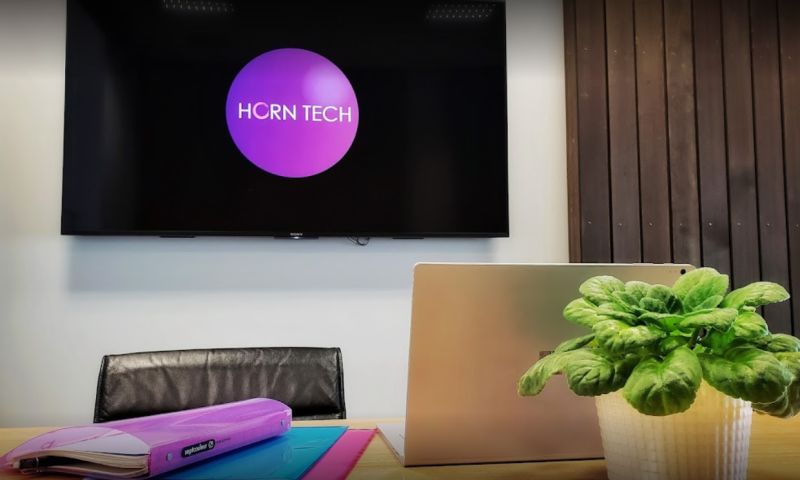 Horn Tech - SEM, E-Commerce SEO for Haakaa