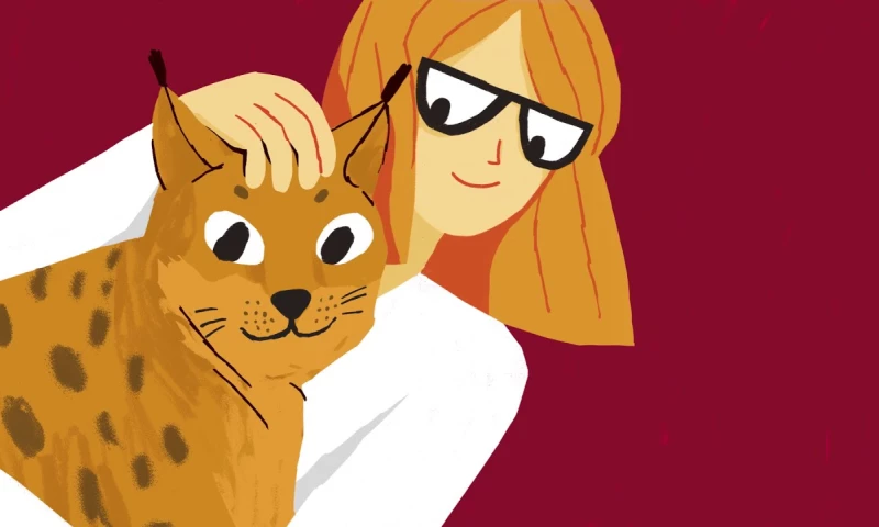 LLC Blue Carrot - PageLynx Promo Video