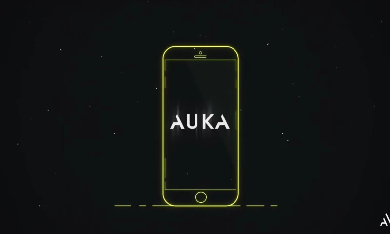 LLC Blue Carrot - Auka Fintech App - Explainer Video
