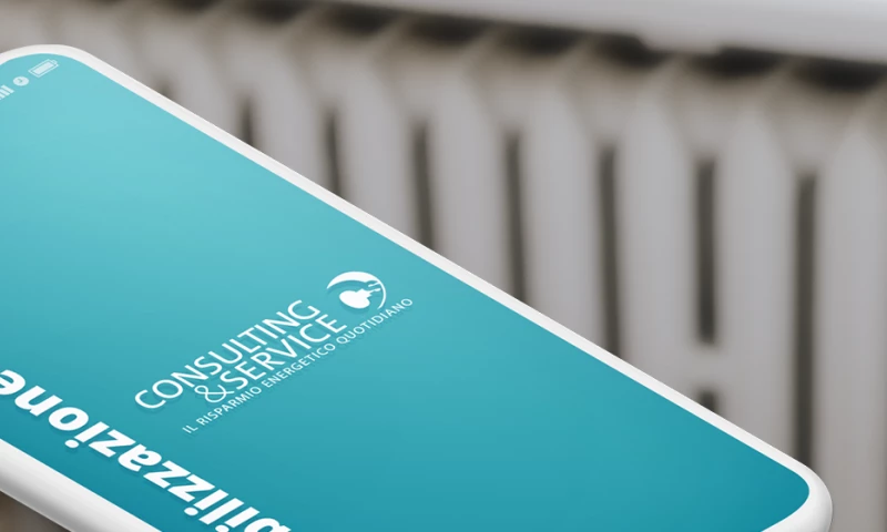 CONSULTING & SERVICE Mobile App