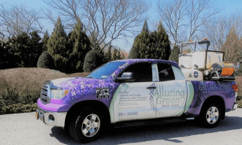 Alluring Green Tree Care